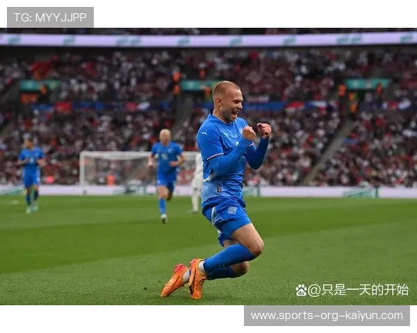 冰岛队在欧预赛中大胜一场，晋级前景一片光明，冰岛队没进欧洲杯