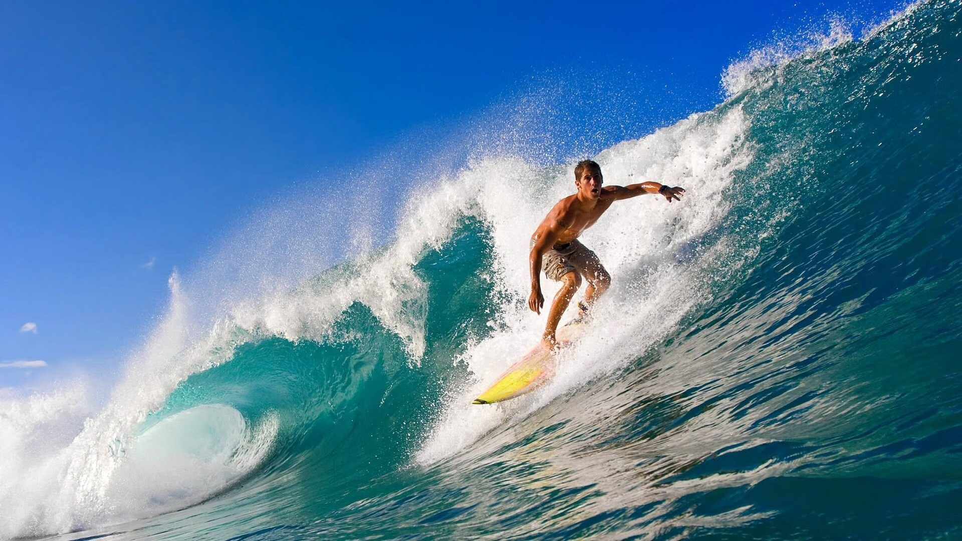 张伟丽与小朋友互动推广格斗运动，张伟丽格斗集锦